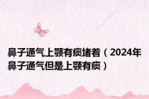 鼻子通气上颚有痰堵着（2024年鼻子通气但是上颚有痰）