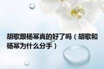 胡歌跟杨幂真的好了吗（胡歌和杨幂为什么分手）