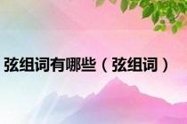 弦组词有哪些（弦组词）
