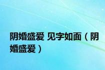 阴婚盛爱 见字如面（阴婚盛爱）