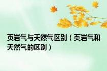 页岩气与天然气区别（页岩气和天然气的区别）