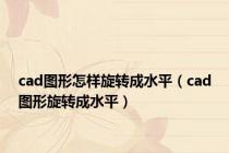 cad图形怎样旋转成水平（cad图形旋转成水平）