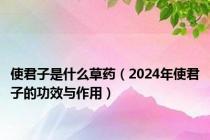 使君子是什么草药（2024年使君子的功效与作用）
