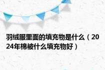 羽绒服里面的填充物是什么（2024年棉被什么填充物好）