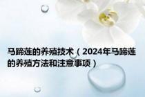 马蹄莲的养殖技术（2024年马蹄莲的养殖方法和注意事项）
