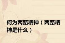 何为两路精神（两路精神是什么）