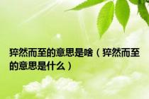 猝然而至的意思是啥（猝然而至的意思是什么）