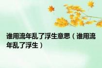 谁用流年乱了浮生意思（谁用流年乱了浮生）