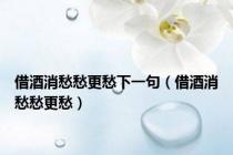借酒消愁愁更愁下一句（借酒消愁愁更愁）