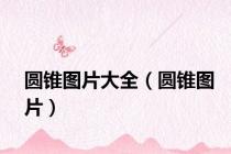 圆锥图片大全（圆锥图片）