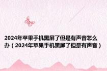2024年苹果手机黑屏了但是有声音怎么办（2024年苹果手机黑屏了但是有声音）