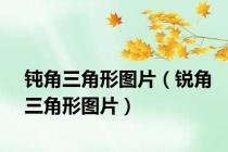 钝角三角形图片（锐角三角形图片）