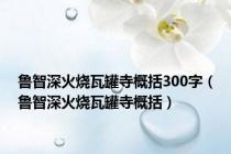 鲁智深火烧瓦罐寺概括300字（鲁智深火烧瓦罐寺概括）