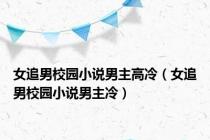 女追男校园小说男主高冷（女追男校园小说男主冷）