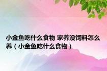 小金鱼吃什么食物 家养没饲料怎么养（小金鱼吃什么食物）