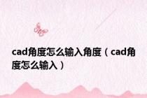 cad角度怎么输入角度（cad角度怎么输入）