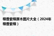 檀香紫檀原木图片大全（2024年檀香紫檀）