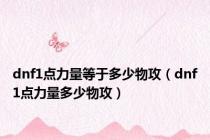 dnf1点力量等于多少物攻（dnf1点力量多少物攻）