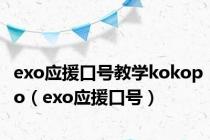 exo应援口号教学kokopo（exo应援口号）