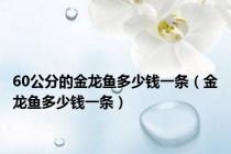60公分的金龙鱼多少钱一条（金龙鱼多少钱一条）