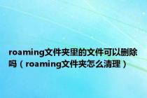 roaming文件夹里的文件可以删除吗（roaming文件夹怎么清理）
