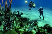 海洋保护区不仅保护生态还为渔业和旅游业带来经济效益