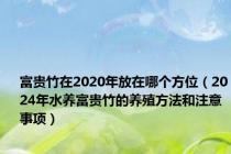 富贵竹在2020年放在哪个方位（2024年水养富贵竹的养殖方法和注意事项）