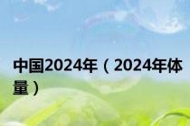 中国2024年（2024年体量）