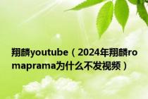 翔麟youtube（2024年翔麟romaprama为什么不发视频）