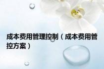 成本费用管理控制（成本费用管控方案）
