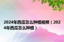 2024年西瓜怎么种植视频（2024年西瓜怎么种植）