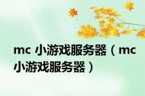 mc 小游戏服务器（mc小游戏服务器）