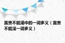 富贵不能滛中的一词多义（富贵不能淫一词多义）