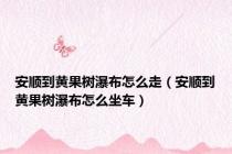 安顺到黄果树瀑布怎么走（安顺到黄果树瀑布怎么坐车）