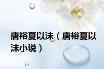 唐裕夏以沬（唐裕夏以沫小说）