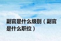 副官是什么级别（副官是什么职位）