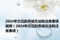 2024年兰花的养殖方法和注意事项视频（2024年兰花的养殖方法和注意事项）