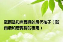 戴雨浩和唐舞桐的后代孩子（戴雨浩和唐舞桐的夜晚）