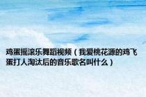 鸡蛋摇滚乐舞蹈视频（我爱桃花源的鸡飞蛋打人淘汰后的音乐歌名叫什么）