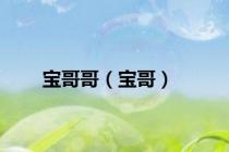 宝哥哥（宝哥）