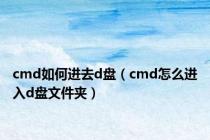 cmd如何进去d盘（cmd怎么进入d盘文件夹）