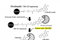揭开新型AAK1抑制剂的面纱化学蛋白质组学如何释放治疗潜力