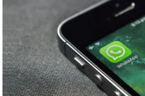 WhatsApp正在测试一款无所不知的人工智能聊天机器人它将存在于你的搜索栏中