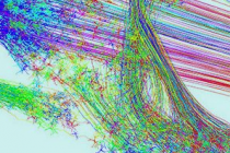 神经网络学习使用Minecraft构建地图