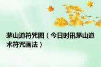 茅山道符咒图（今日时讯茅山道术符咒画法）