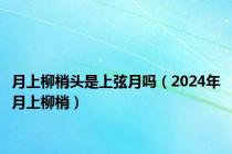 月上柳梢头是上弦月吗（2024年月上柳梢）