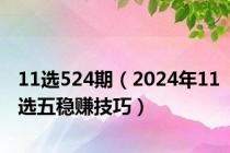 11选524期（2024年11选五稳赚技巧）