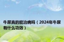 牛尿真的能治病吗（2024年牛尿有什么功效）