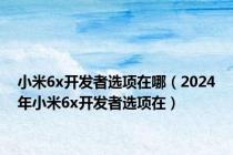 小米6x开发者选项在哪（2024年小米6x开发者选项在）