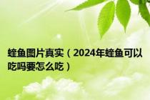 蝰鱼图片真实（2024年蝰鱼可以吃吗要怎么吃）